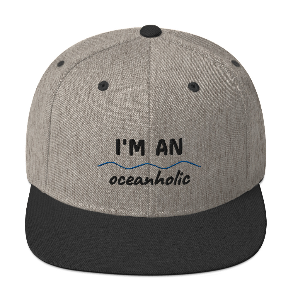 classic-snapback-heather-black-5fe0a045ce286.jpg