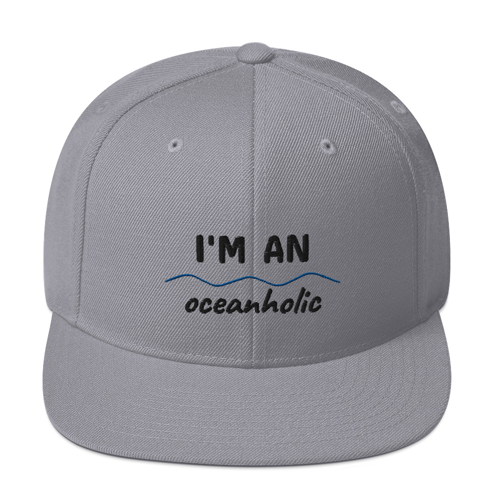 classic-snapback-silver-5fe0a045ce6c7.jpg